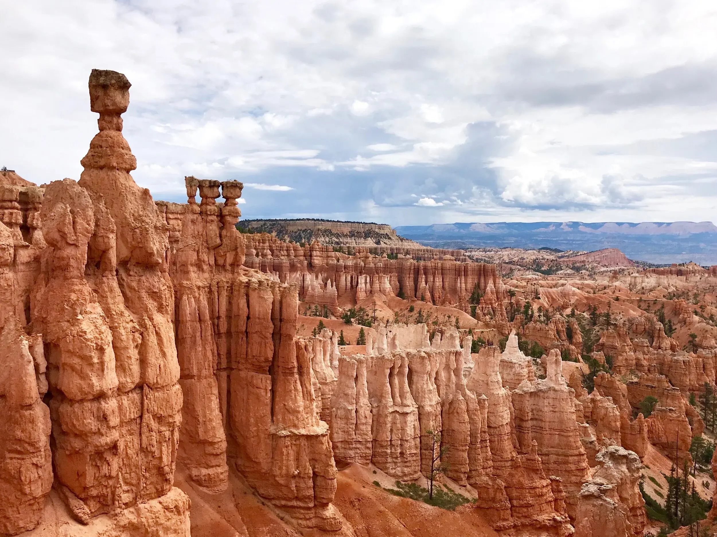 Bryce Canyon hoodoos and wide desert views