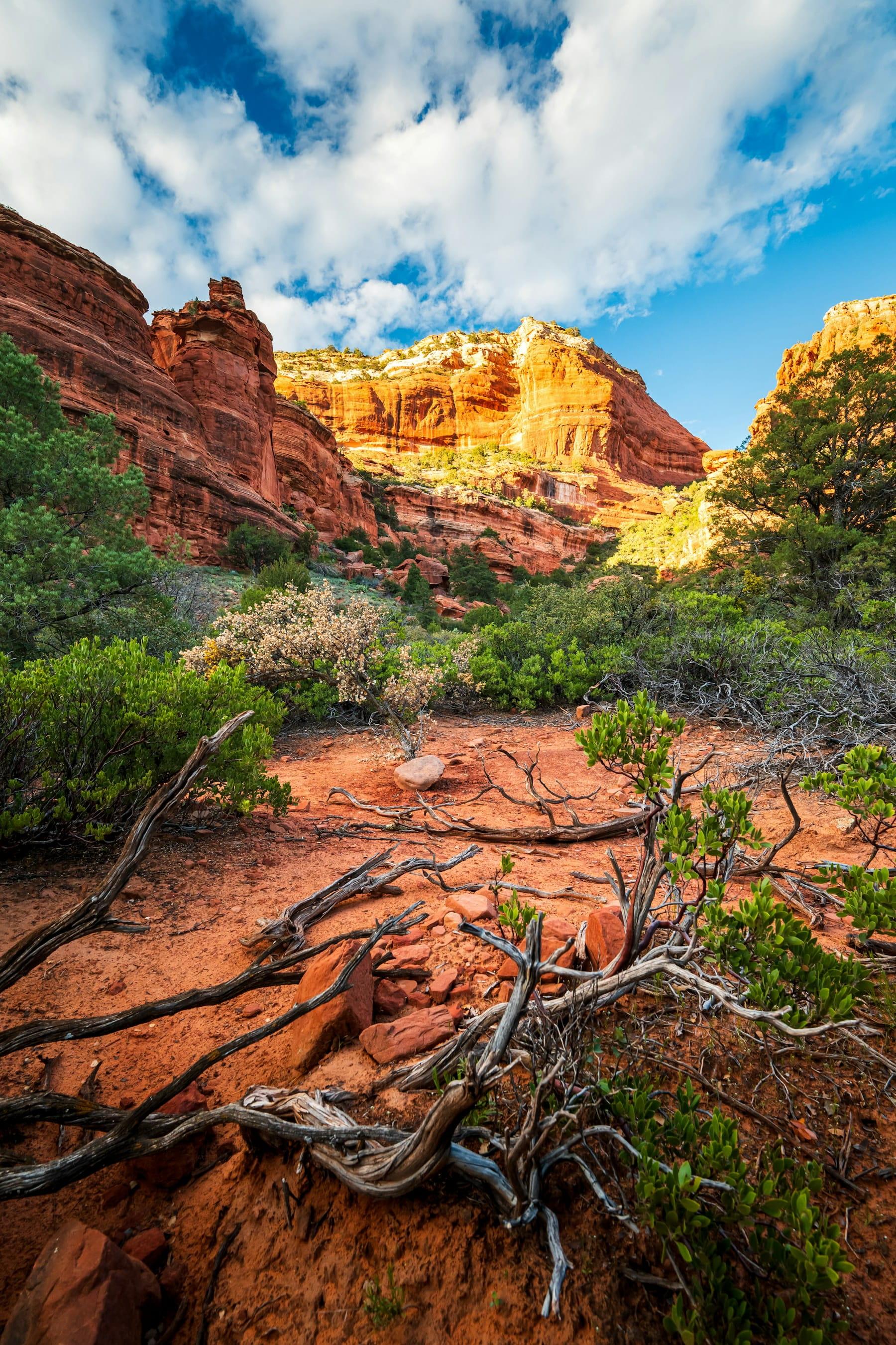 Warm canyon landscape at golden hour